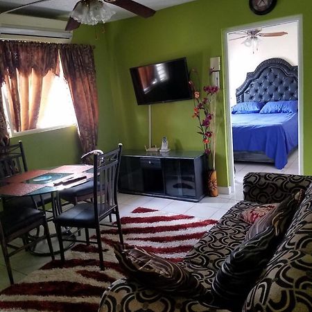 Oaklands Apartment Two Bedroom 金斯敦 外观 照片