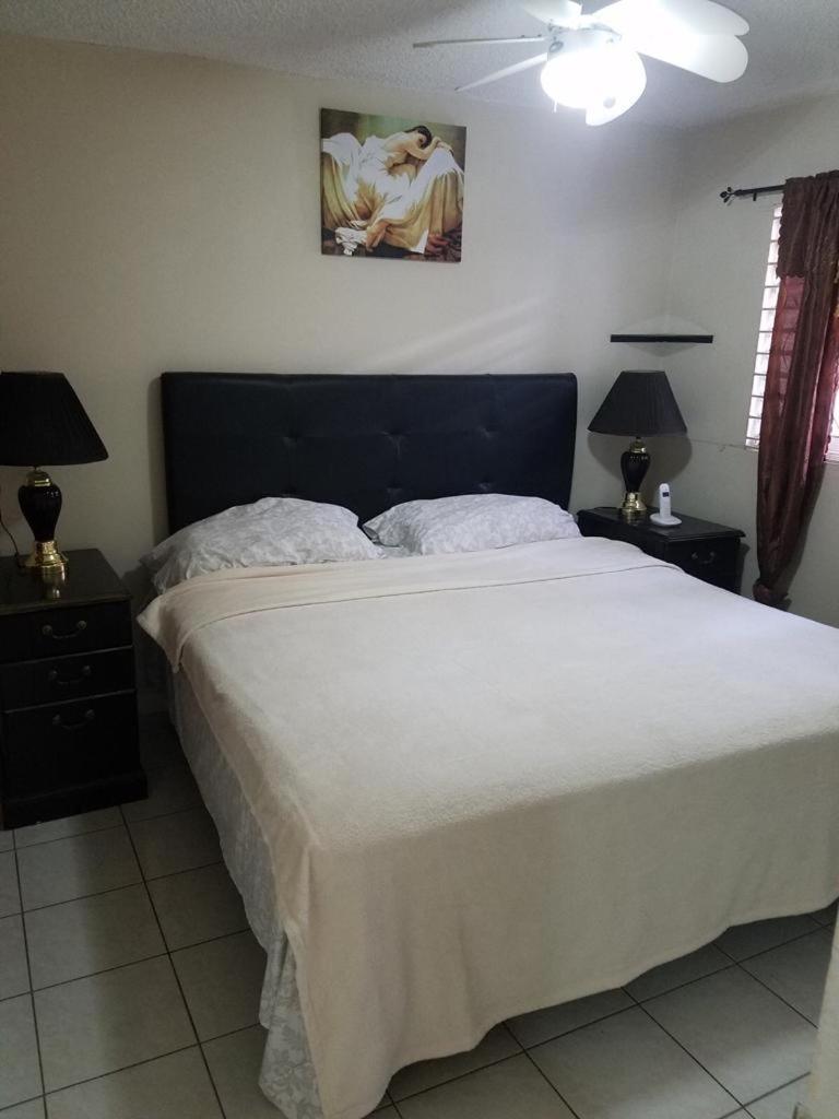 Oaklands Apartment Two Bedroom 金斯敦 外观 照片