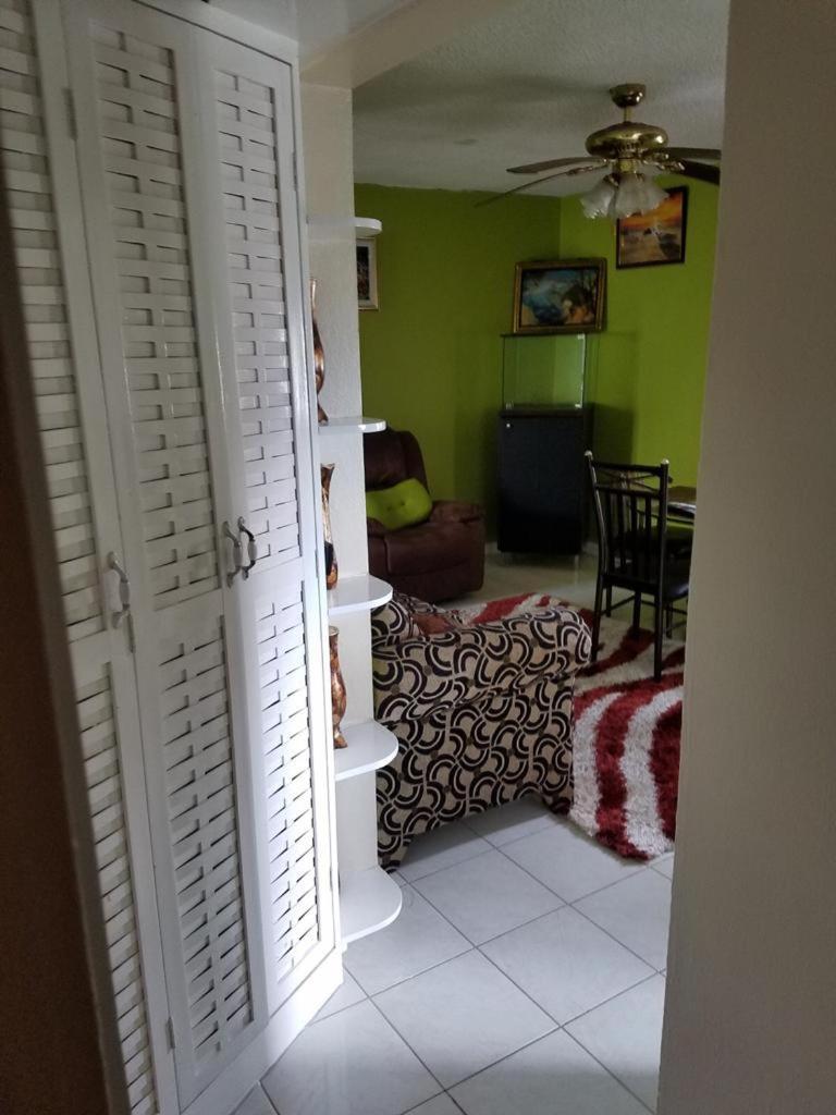 Oaklands Apartment Two Bedroom 金斯敦 外观 照片